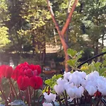 아파트 La Casa Del Giglio